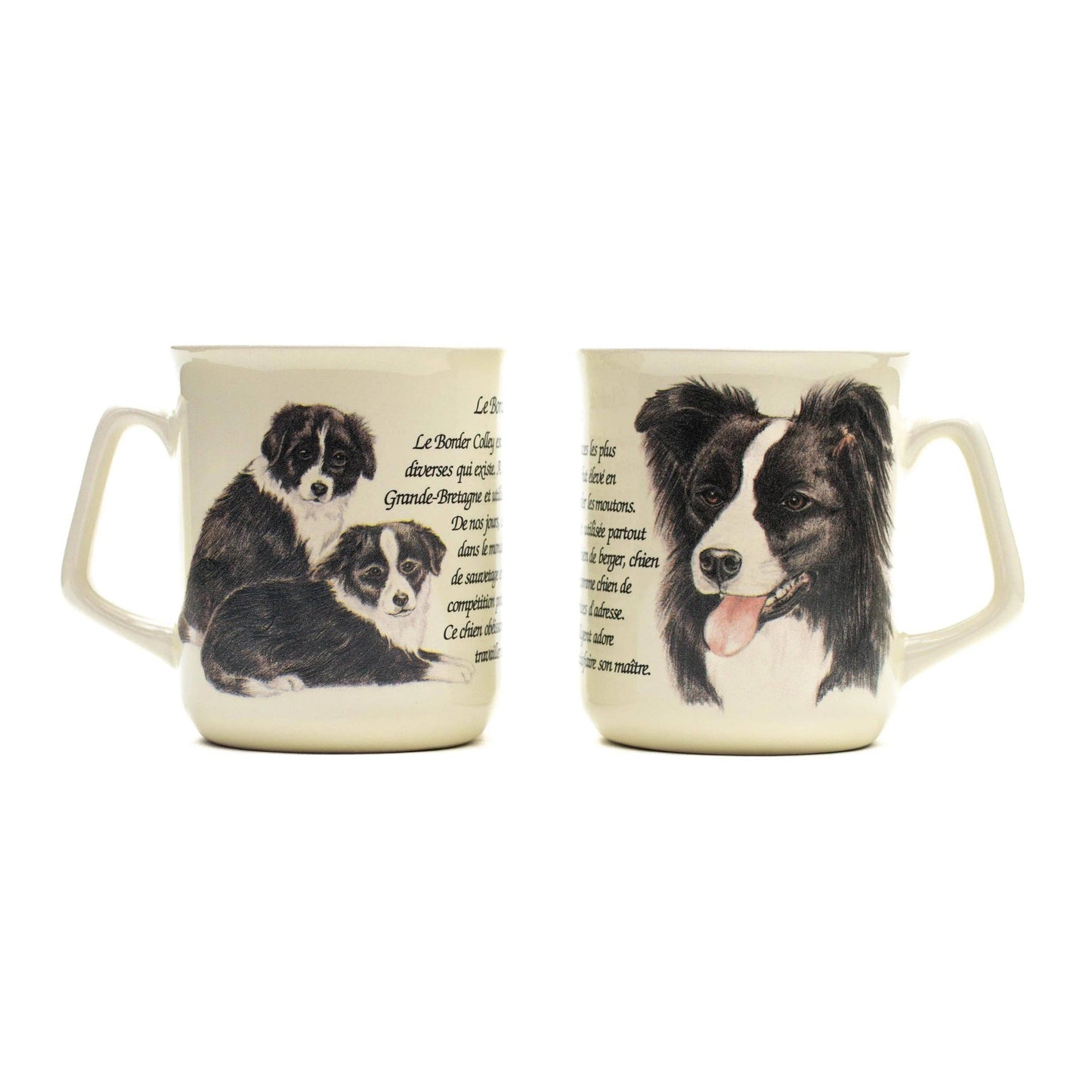 Tasse Border Collie
