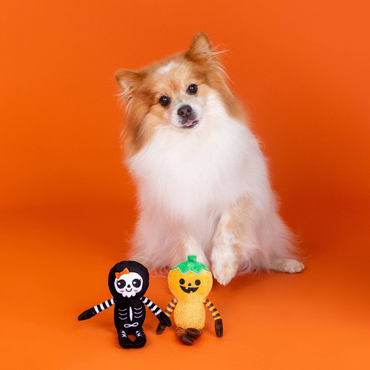 Duo de jouets Citrouille et Squelette Halloween