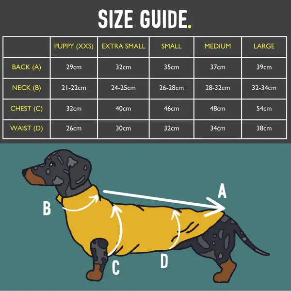 Pull polaire avec panneau ventral imperméable – spécial teckels miniatures