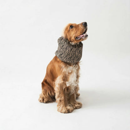 Snood pour chien - Zèbre