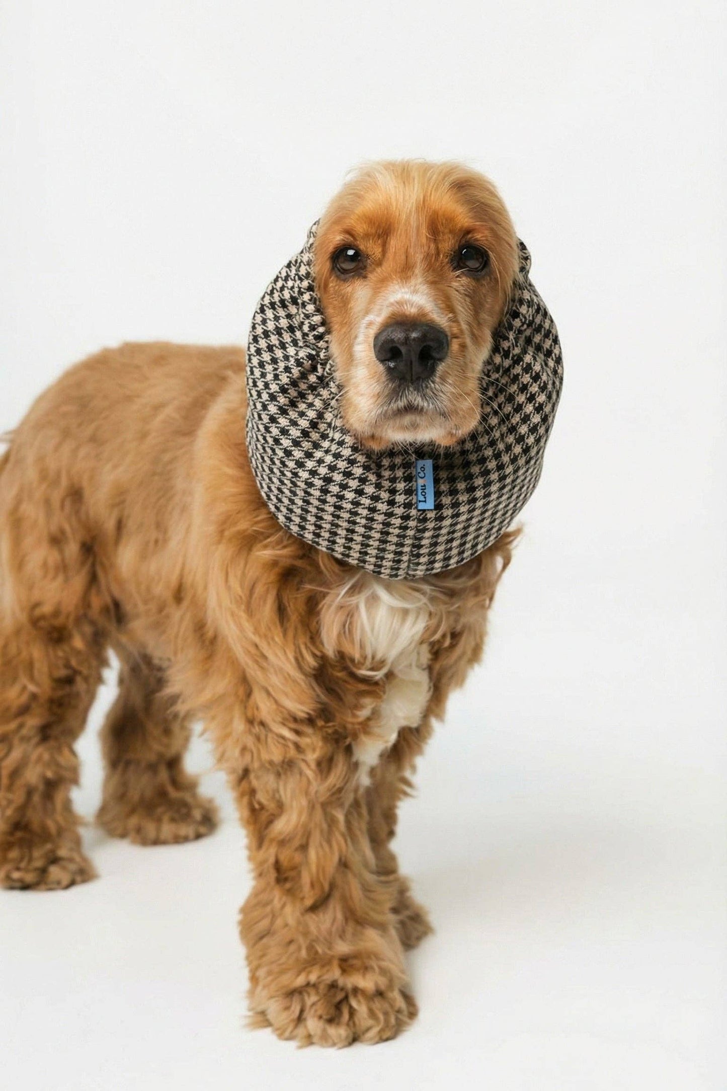 Snood pour chien - Vichy