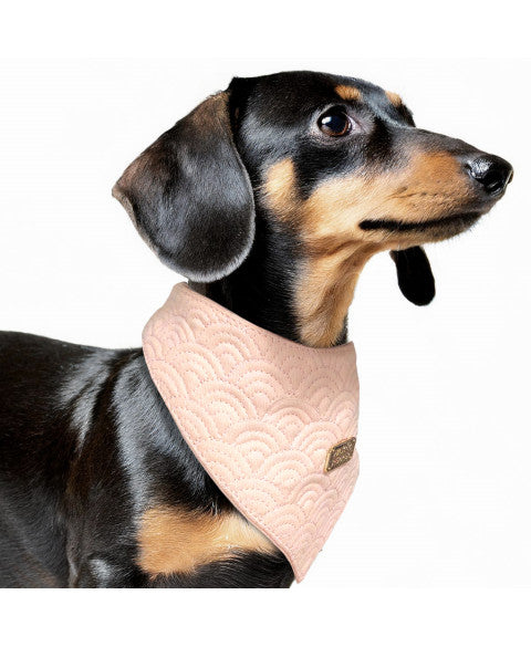 Bandana boutis rose - Kimi