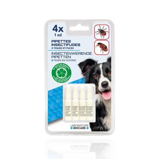 Pipettes Insectifuges pour chien