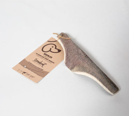 Bois de cerf biseau