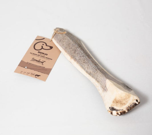 Bois de cerf biseau