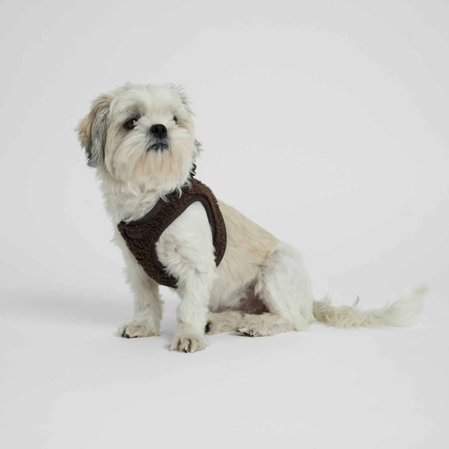 Harnais pour chien Step-In Teddy | Espresso