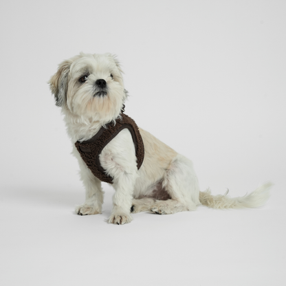 Harnais pour chien Step-In Teddy | Espresso