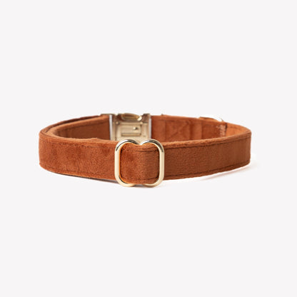 'Argile' - Collier pour chien en velours