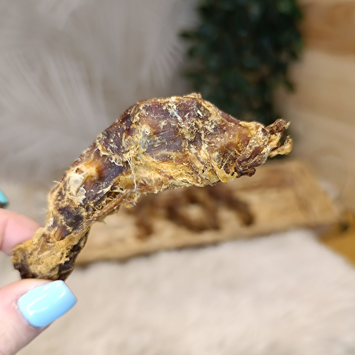 Cou de Poulet