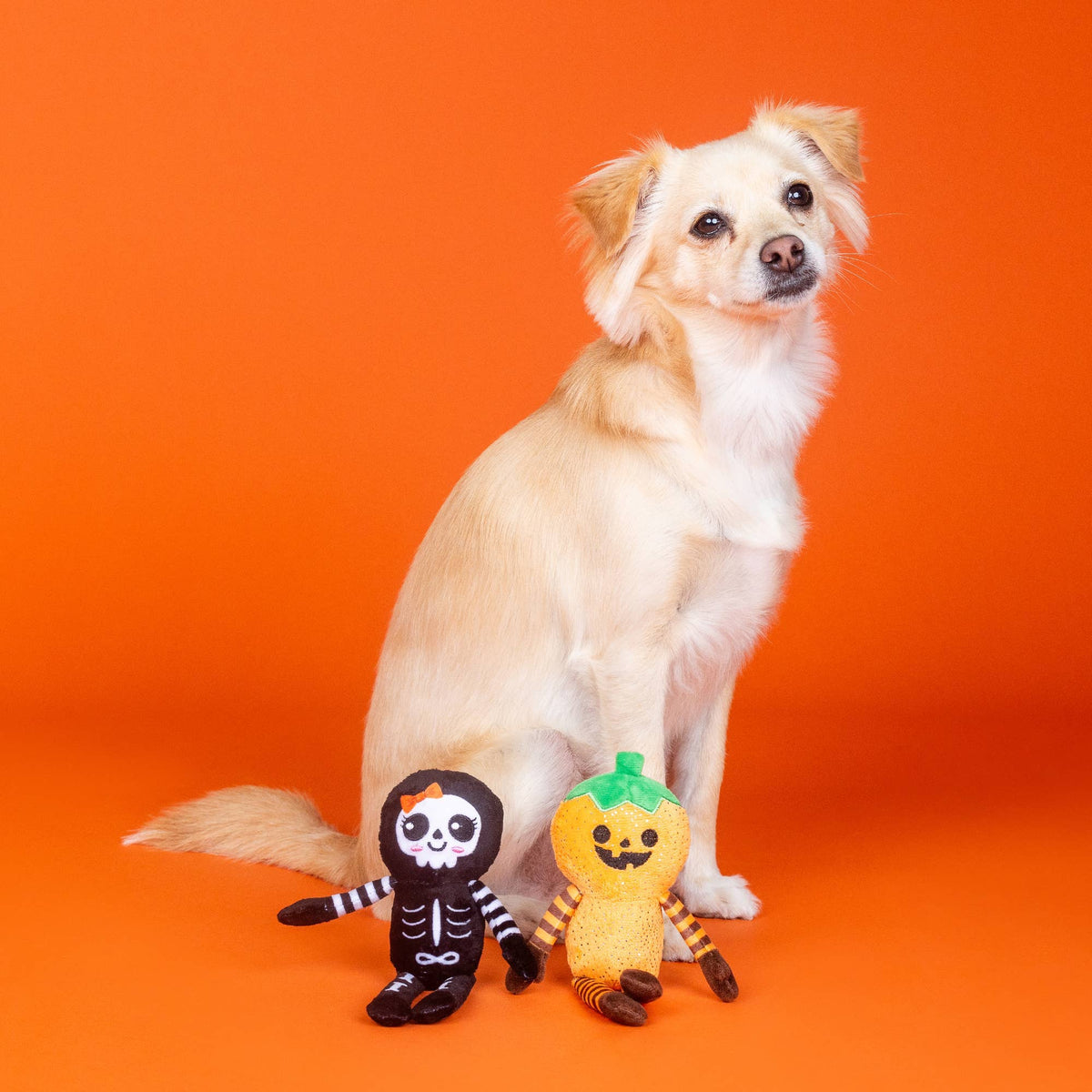 Duo de jouets Citrouille et Squelette Halloween