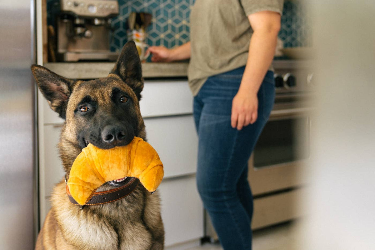 Barking Brunch Croissant – Jouet pour chien P.L.A.Y.