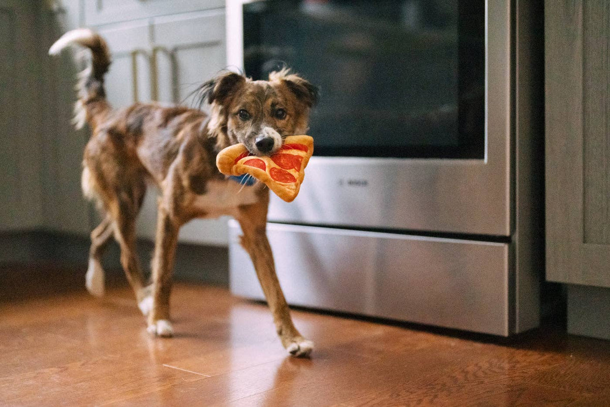 Jouet pour chien P.L.A.Y Snack Attack Puppy-roni Pizza