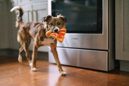 Jouet pour chien P.L.A.Y Snack Attack Puppy-roni Pizza