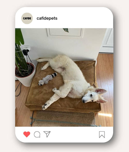 Lit pour chien en velours côtelé moutarde, Cuadra