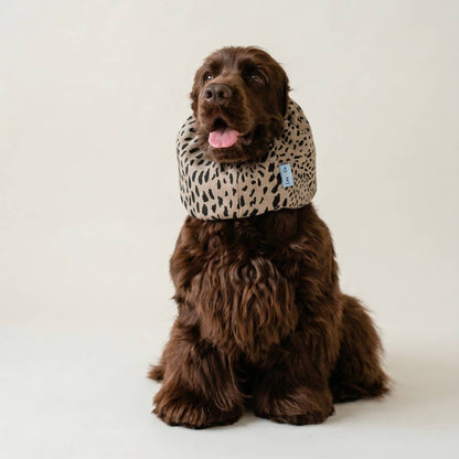 Snood d'été pour chien - Dune
