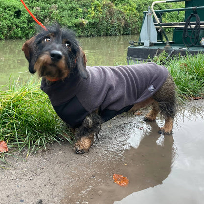 Pull polaire avec panneau ventral imperméable - Spécial Teckel standard