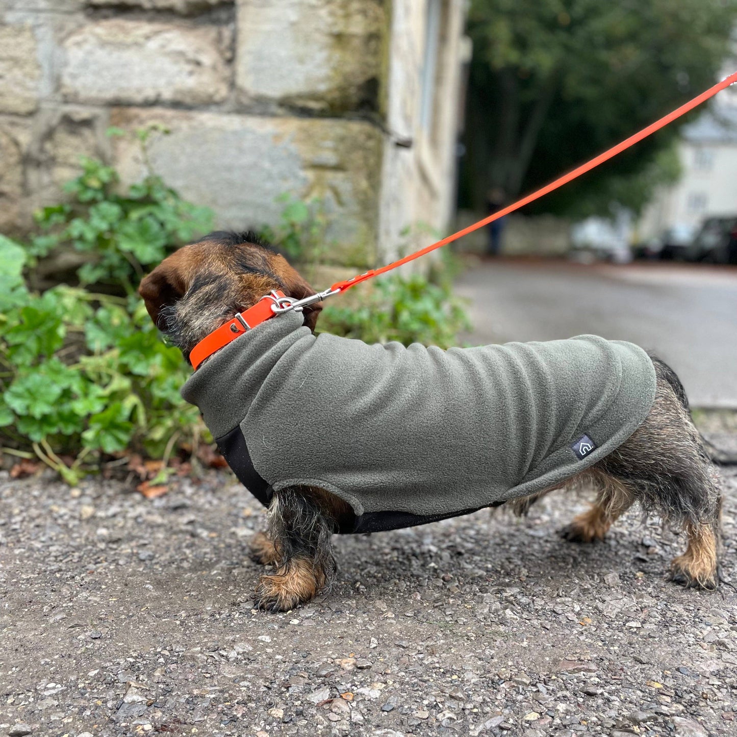 Pull polaire avec panneau ventral imperméable - Spécial Teckel standard