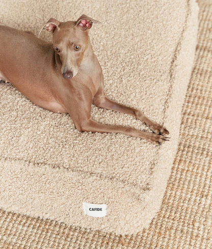 Lit pour chien en bouclette beige