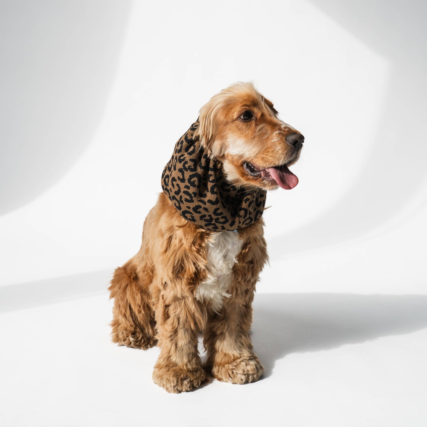 Snood motif léopard