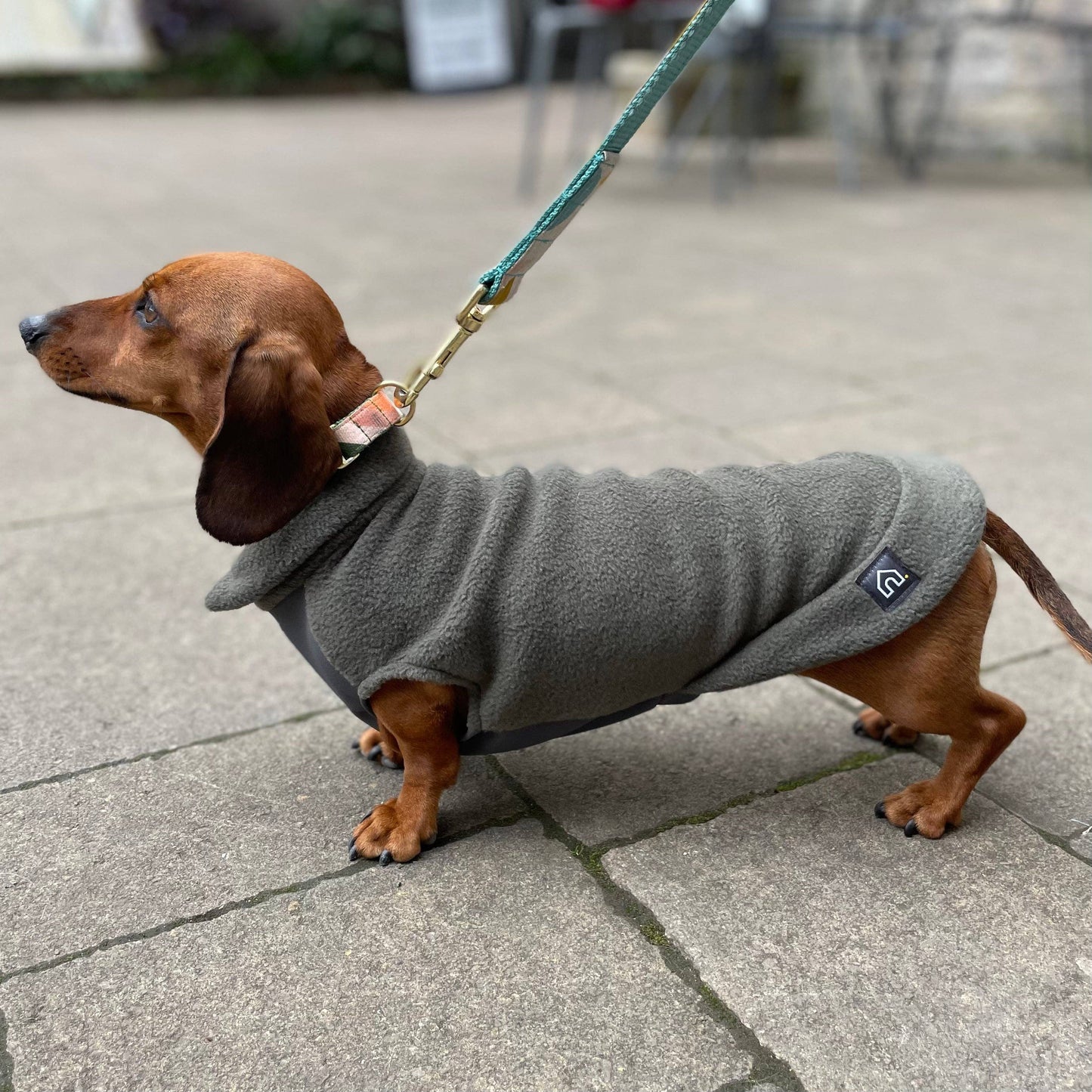 Pull polaire avec panneau ventral imperméable – spécial teckels miniatures