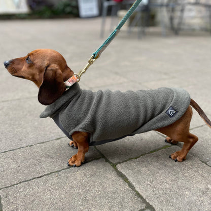Pull polaire avec panneau ventral imperméable – spécial teckels miniatures