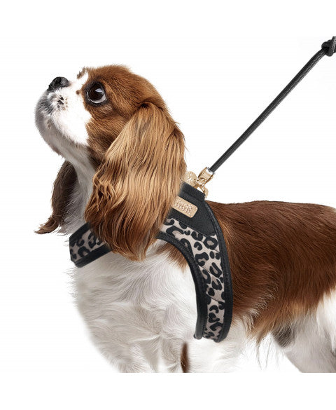 Harnais Slings Thalia