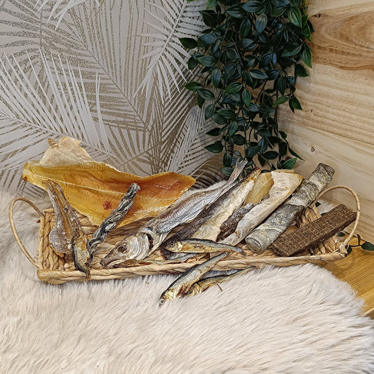 Assortiment poisson
