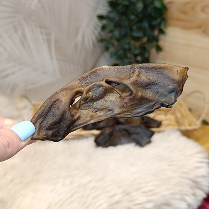 nez de cerf mastication naturelle pour chien
