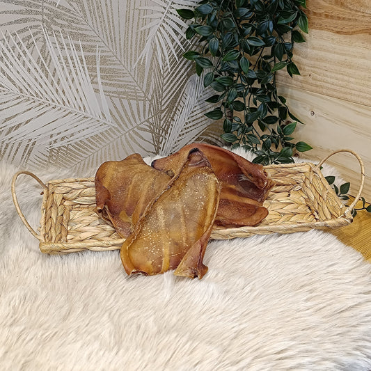 Oreille de Porc