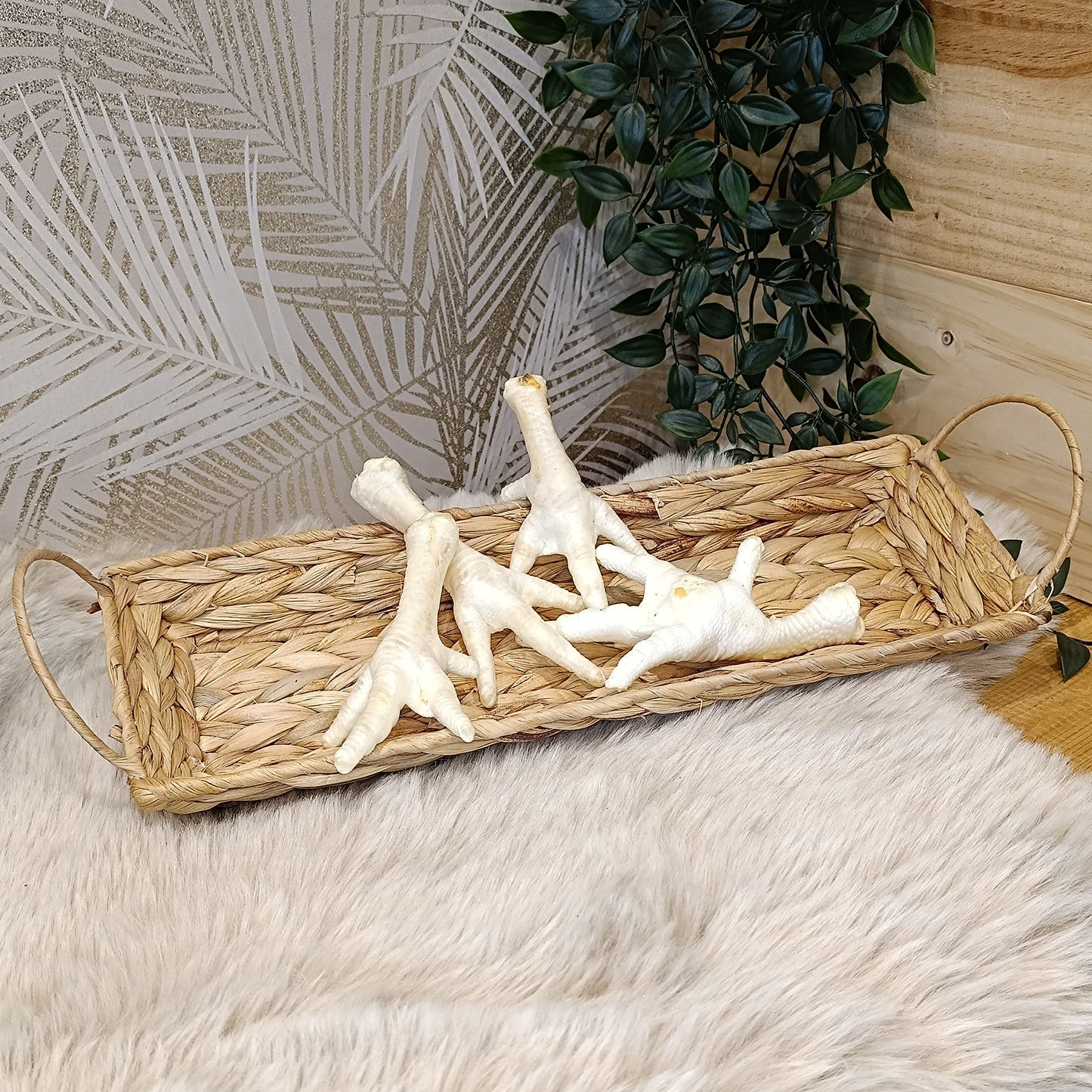 Patte de Poulet blanche