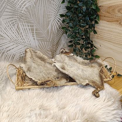 Plaque de peau boeuf avec poils