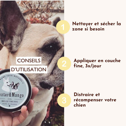 Baume truffe chien : Belle truffe