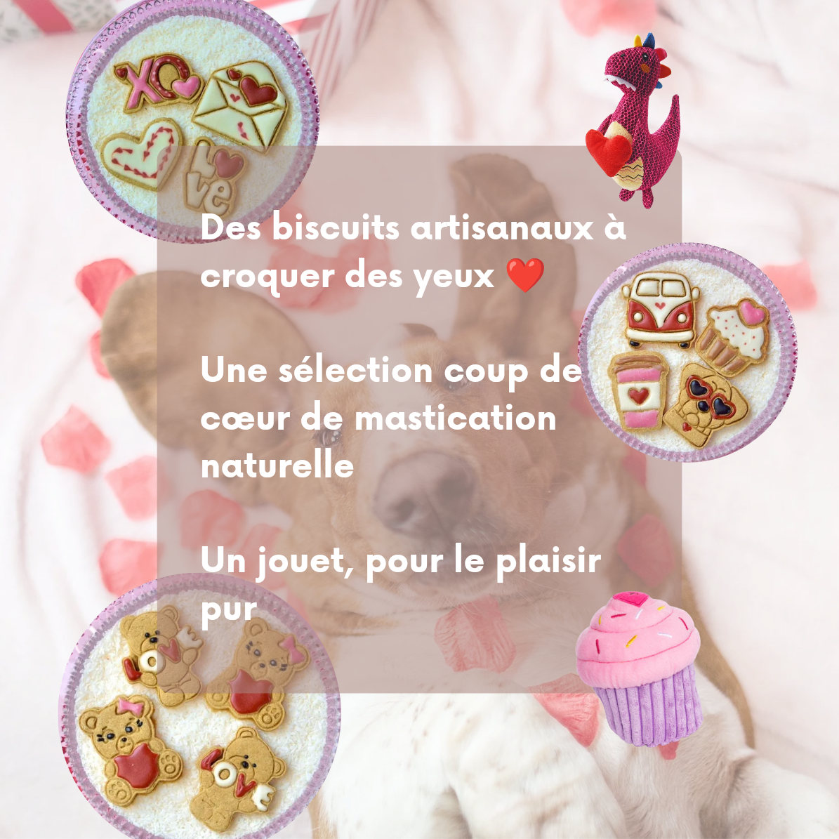 Box Saint-Valentin 💕
