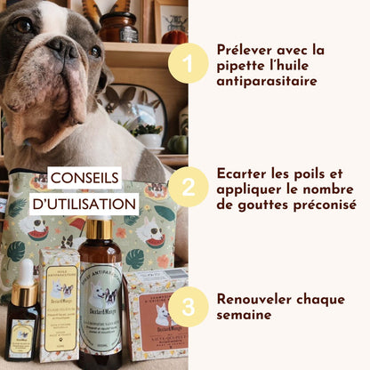 Antiparasitaire pour chien : L'huile Élixir Fèléfuir