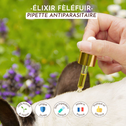 Antiparasitaire pour chien : L'huile Élixir Fèléfuir