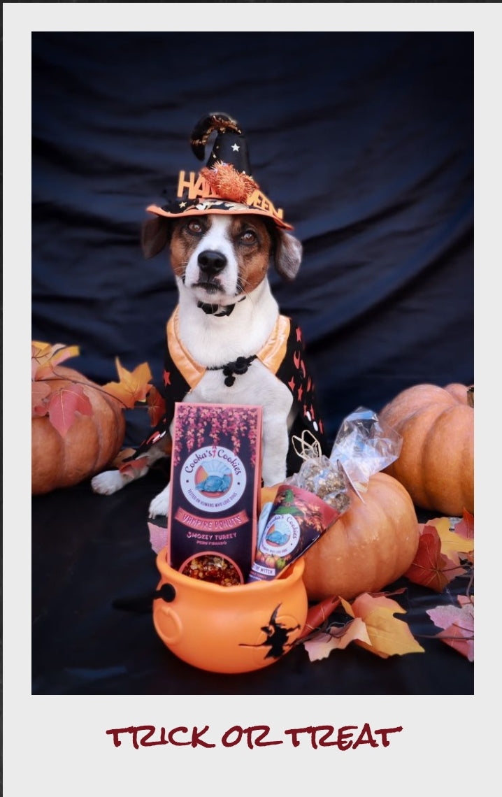 Friandises d’Halloween “Witch Treats”