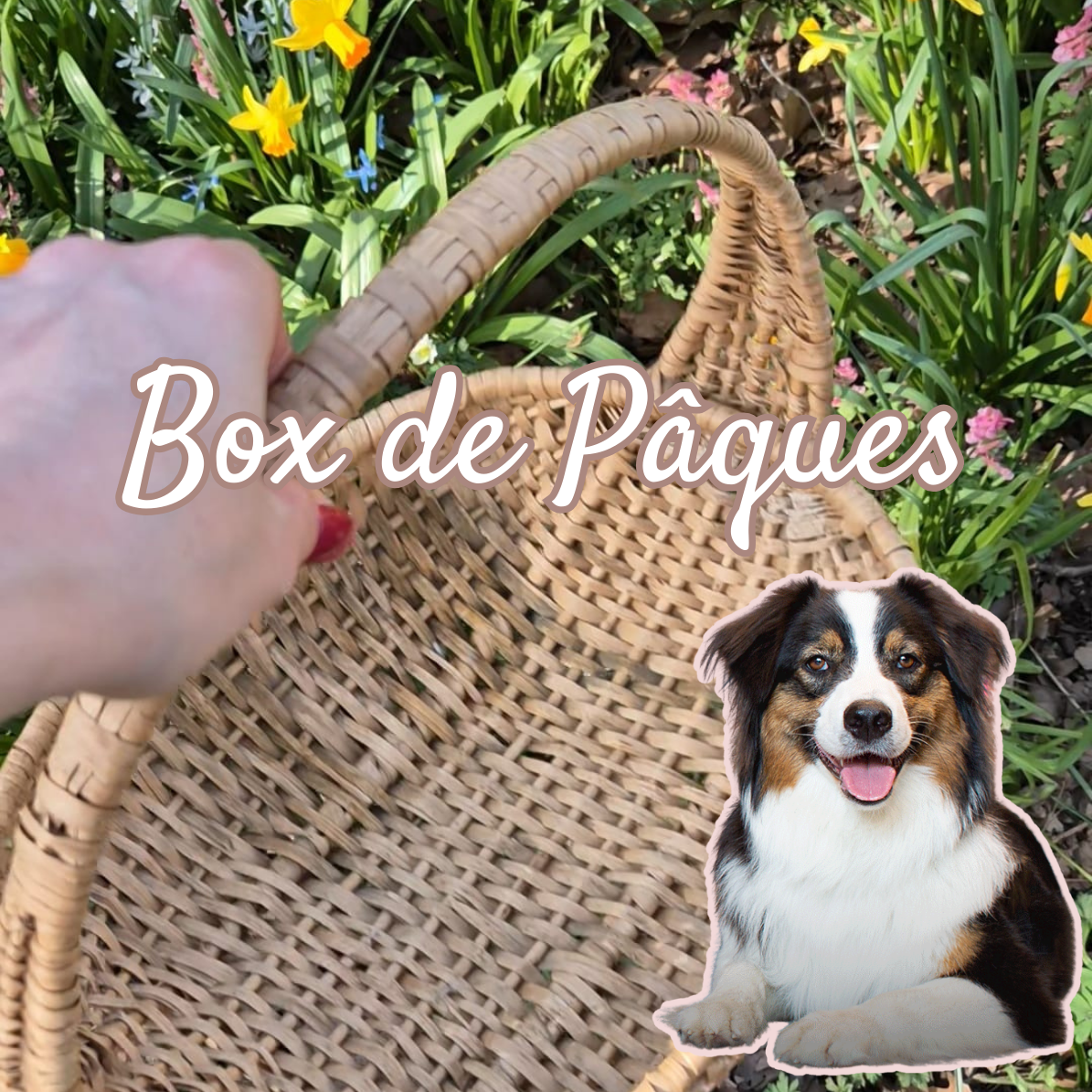 Box de Pâques - Précommande
