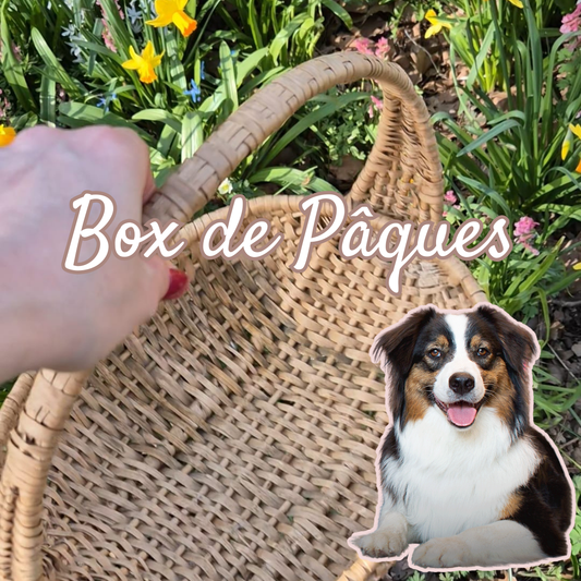 Box de Pâques - Précommande