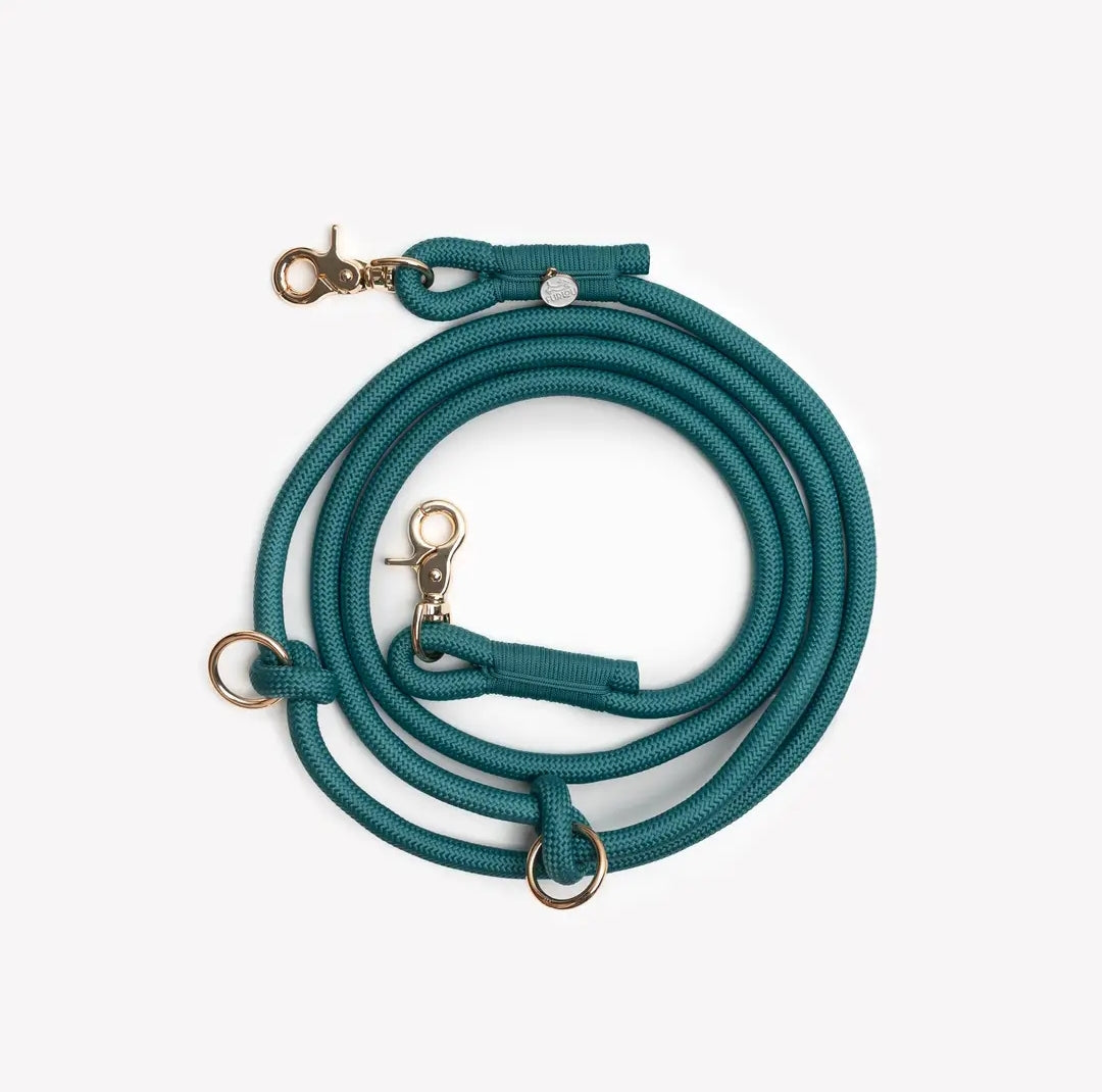 Laisse main libre - bleue