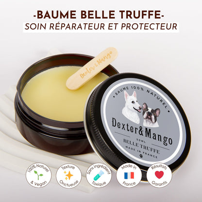 Baume truffe chien : Belle truffe