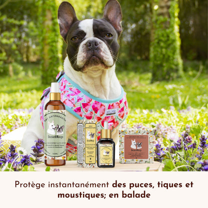 Lotion antiparasitaire : La croisière sans bête