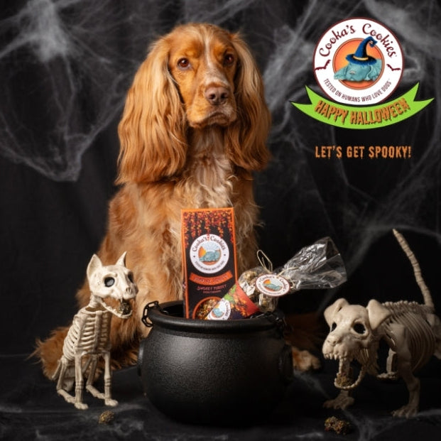 Donuts d’Halloween