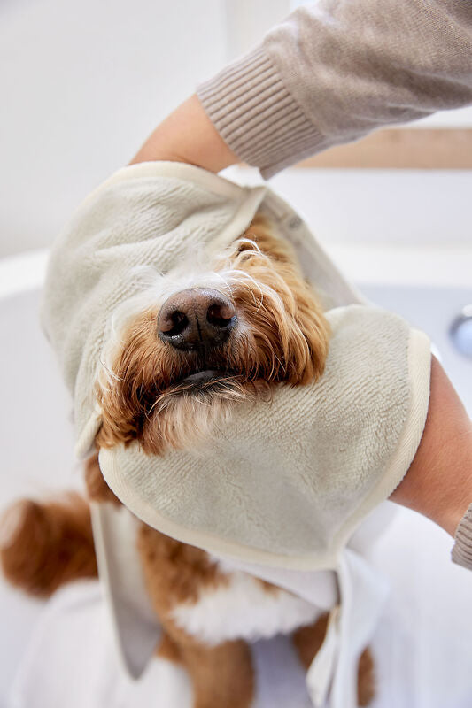 Serviette pour chien - Kosy