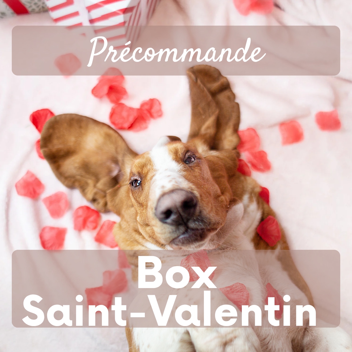 Box Saint-Valentin 💕