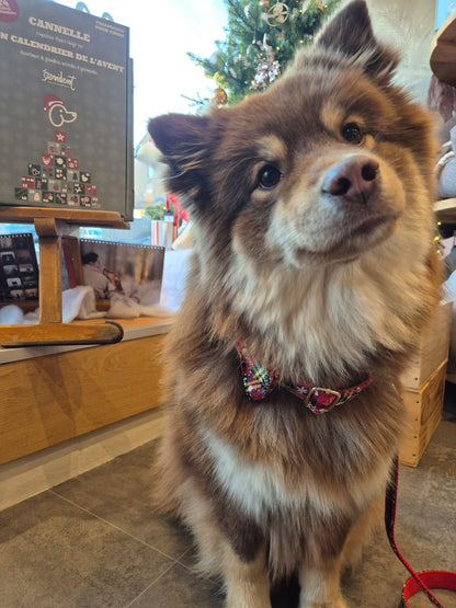 Collier Tartan Noël