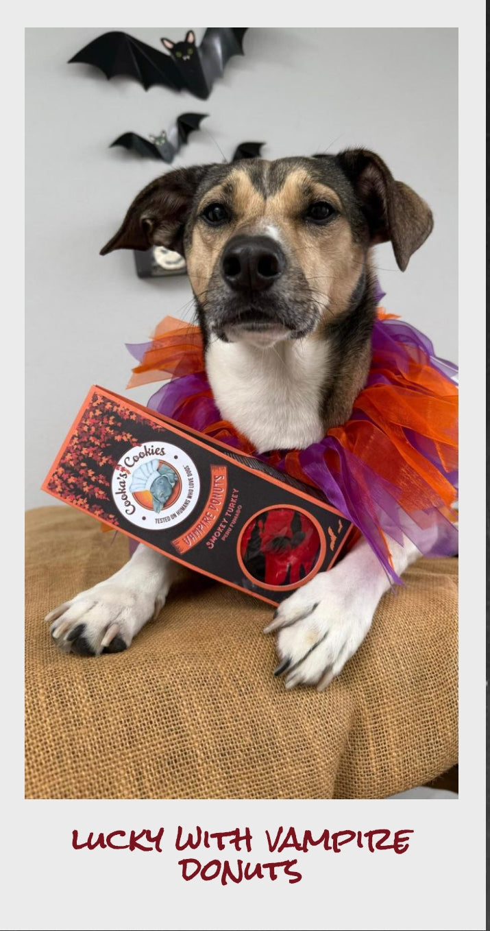 Donuts d’Halloween