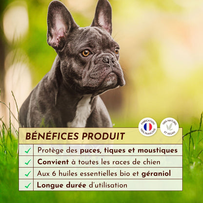 Antiparasitaire pour chien : L'huile Élixir Fèléfuir