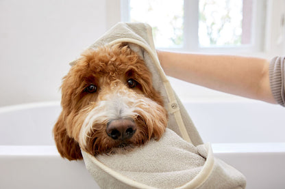 Serviette pour chien - Kosy