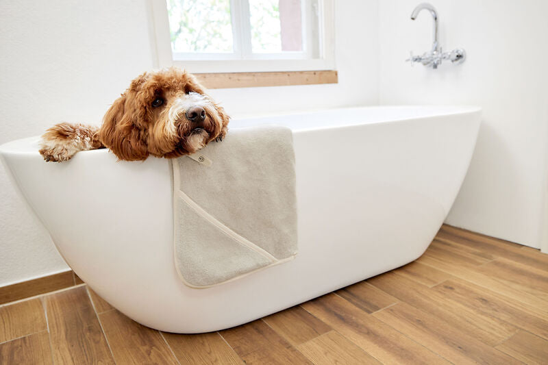 Serviette pour chien - Kosy