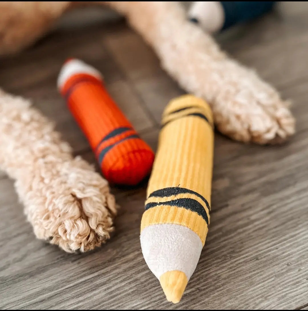 La trousse de crayons